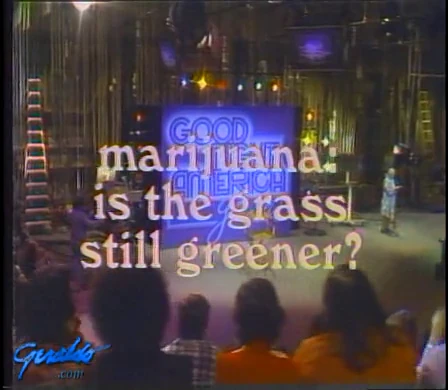 Marijuana is the grass still greener