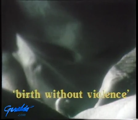 Birth Without Violence