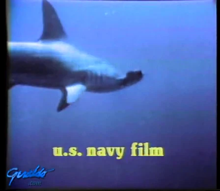 Shark picture from U.S. navy film