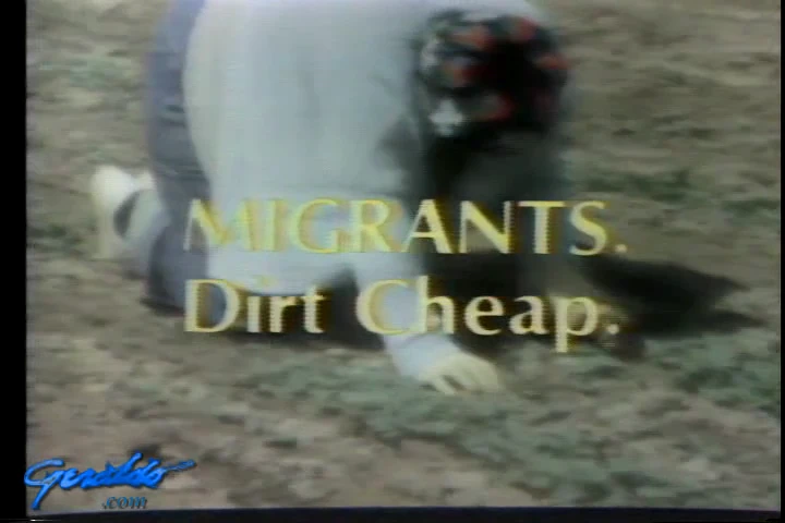 Migrants dirt cheap 1973