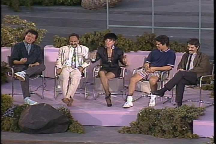 Star studded panel, 1988